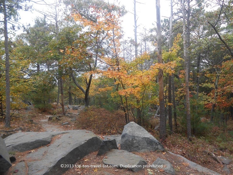 Enjoy the fall foliage at Blue Hills Reservation - Top Ten Travel List