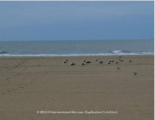 Best Western Plus Oceanfront - Virginia Beach