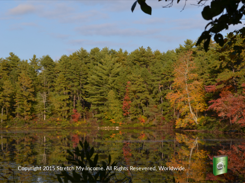 Myles Standish State Forest - Top Ten Travel List