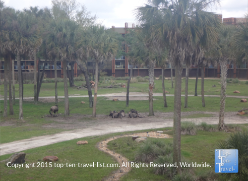 Sanaa – Orlando - Top Ten Travel List