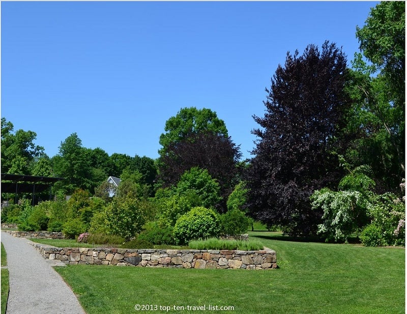 Explore trees from around the world at The Arnold Arboretum - Top Ten Travel List