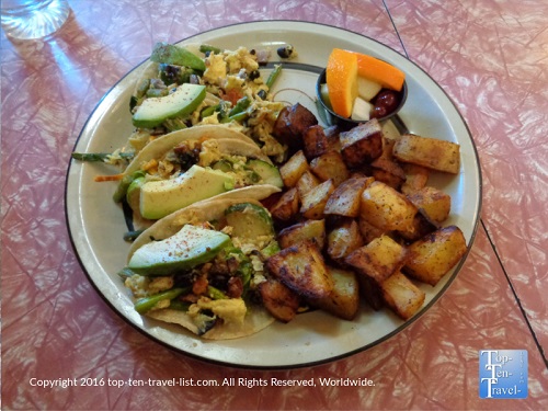 The Toasted Owl - Flagstaff