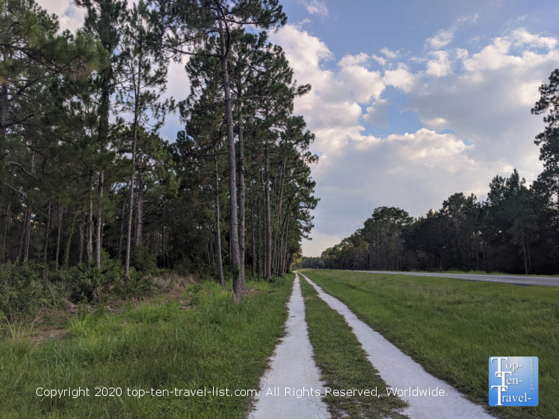 Bike the pine tree lined Flatwoods Park loop trail - Top Ten Travel List