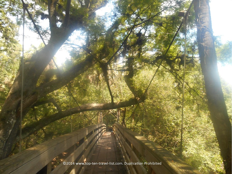 Walk the nature trails and look for gators at Hillsborough River State Park - Top Ten Travel List