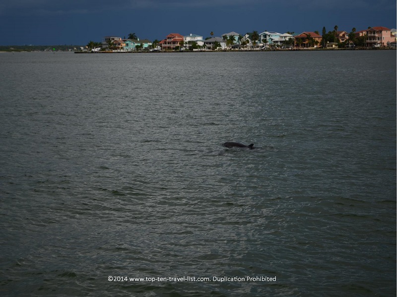 Take a scenic dolphin cruise at Madeira Beach & enjoy fun dining & shops at John's Pass Village and Boardwalk - Top Ten Travel List