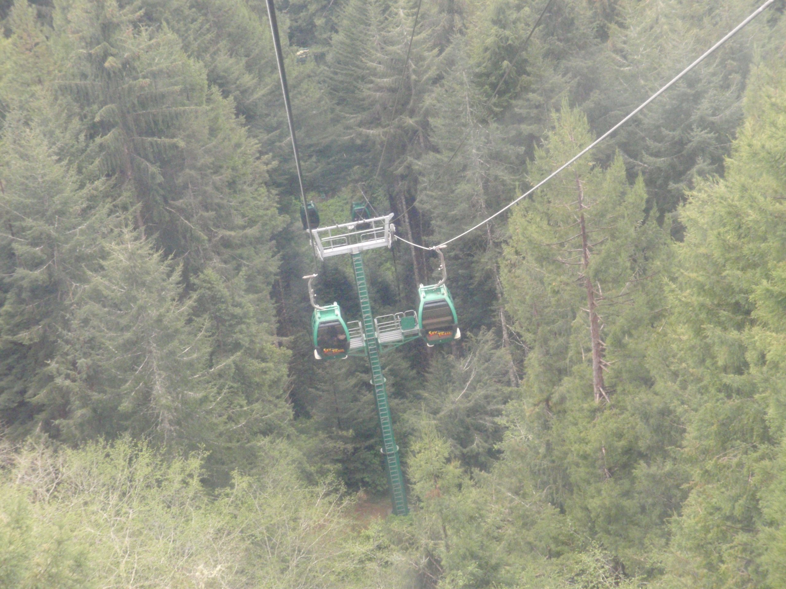 Ride the Sky Trail at the Trees of Mystery in Klamath - Top Ten Travel List