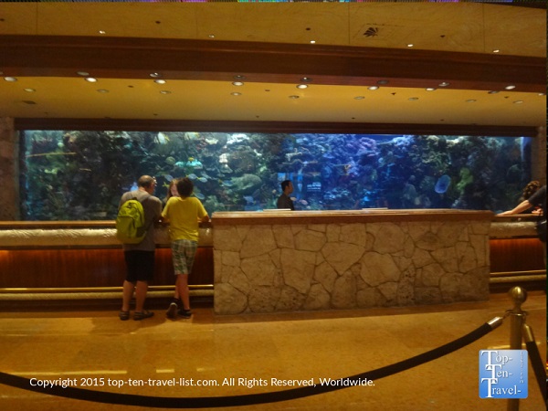 The Mirage Resort and Casino - Las Vegas