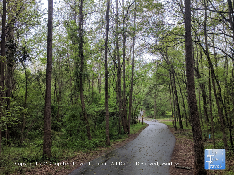 Take a nature walk at Lake Conestee Preserve - Top Ten Travel List