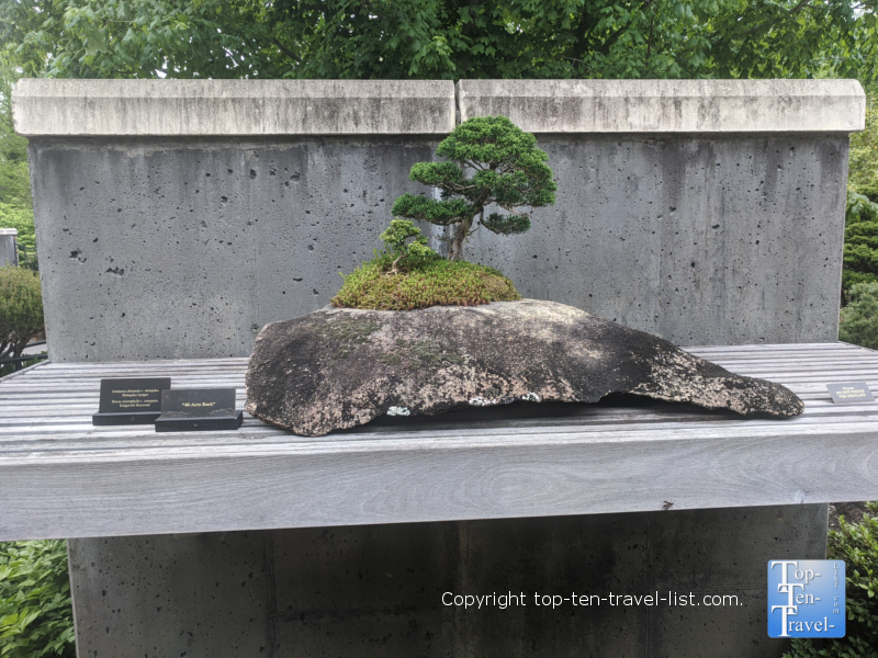 Get back to nature at the North Carolina Arboretum - Top Ten Travel List