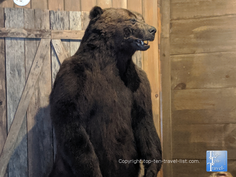 Crockett's Breakfast Camp - Gatlinburg