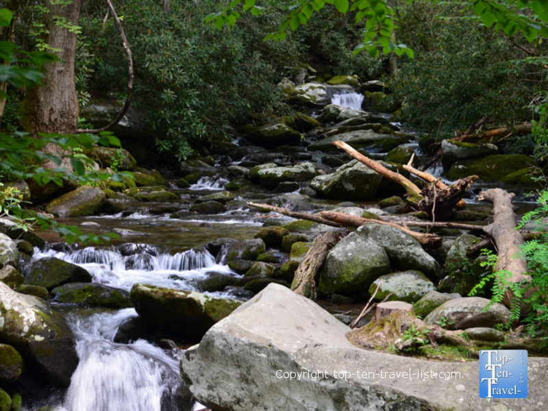 Take a cruise along the Roaring Fork Motor Nature Trail - Top Ten Travel List