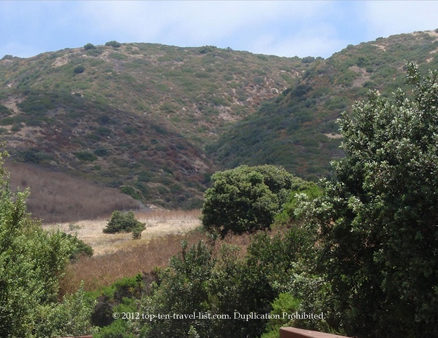 Go hiking at Crystal Cove State Park - Top Ten Travel List
