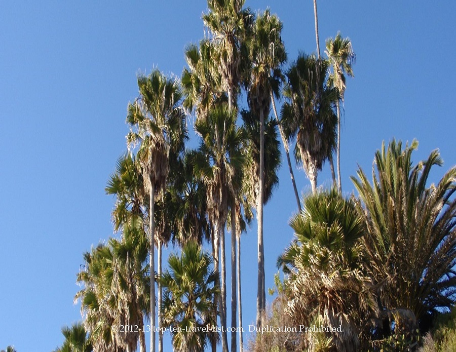 Visit Fashion Island - Top Ten Travel List