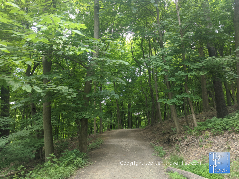 Hike at Frick Park - Top Ten Travel List