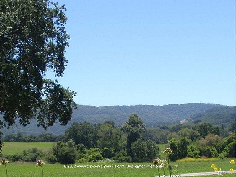 Enjoy the beauty of the area with a pinic in the park - Top Ten Travel List