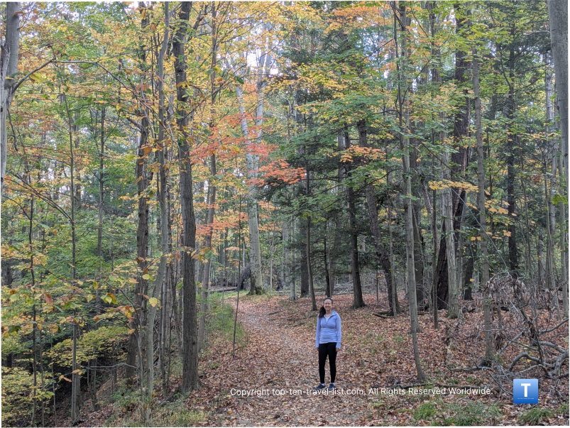 5 Leaf Peeping Hikes to Check out Near Cleveland