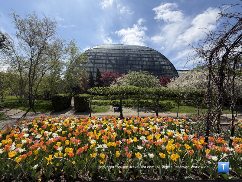 Springtime at the Garfield Park Observatory in Chicago