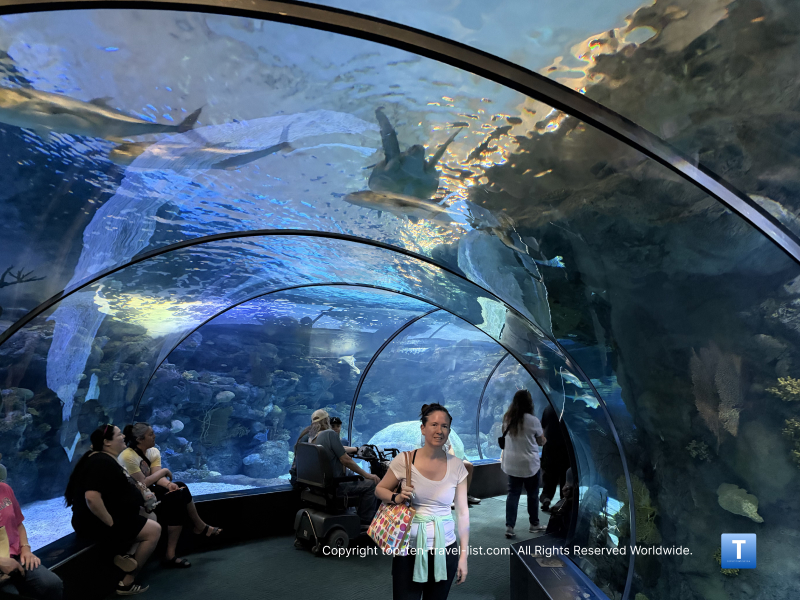 Omaha’s Henry Doorly: Pros & Cons of Visiting The Largest Zoo