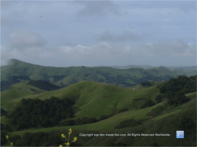 Rolling hills on the Pacific Coast Highway