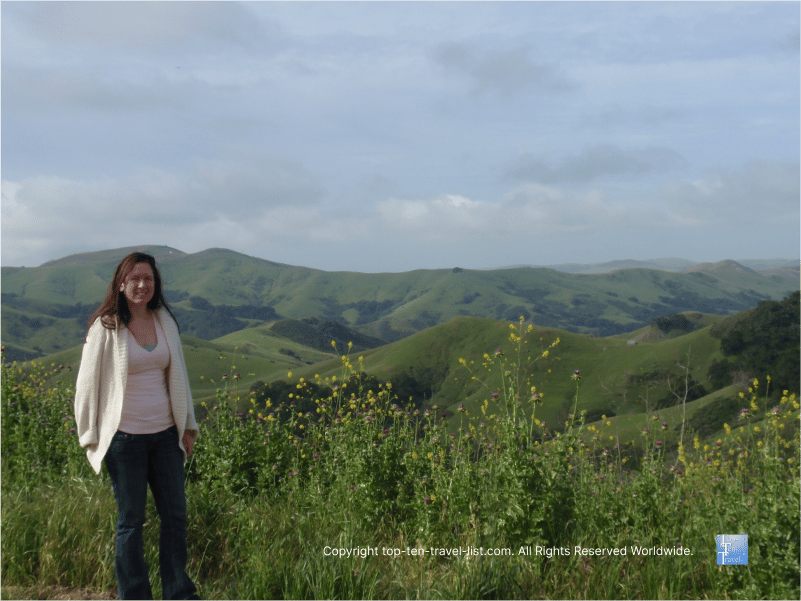 Scenic overlook along the PCH