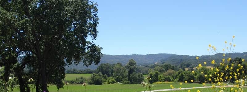 Paso Robles vacation guide