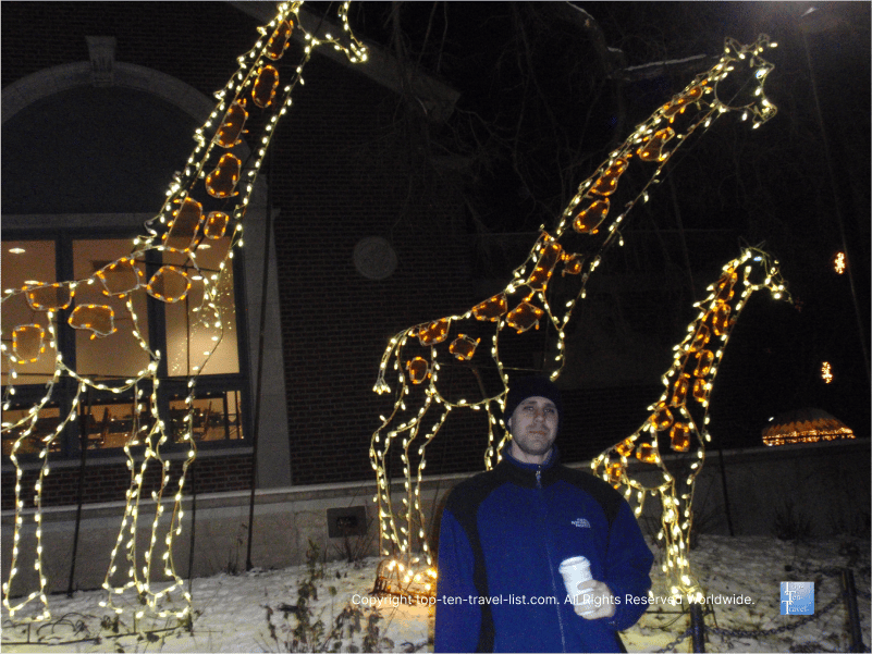 Festive light display at Lincoln Park zoo in Chicago 