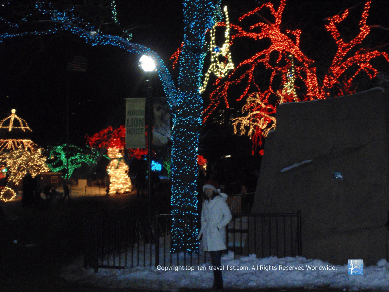 Colorful display at the LIncoln Park Zoo holiday festival