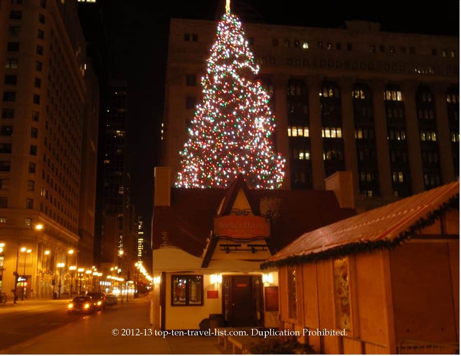 Chicago Christmas Tree Daley Plaza