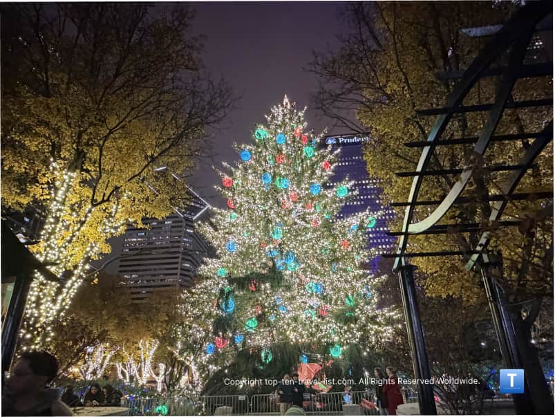 The Chicago Christmas tree at Millennium Park