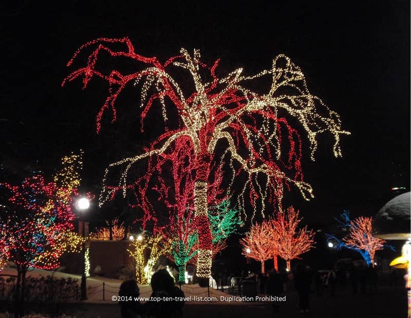 Candy cane lights at Lincoln Park Zoo