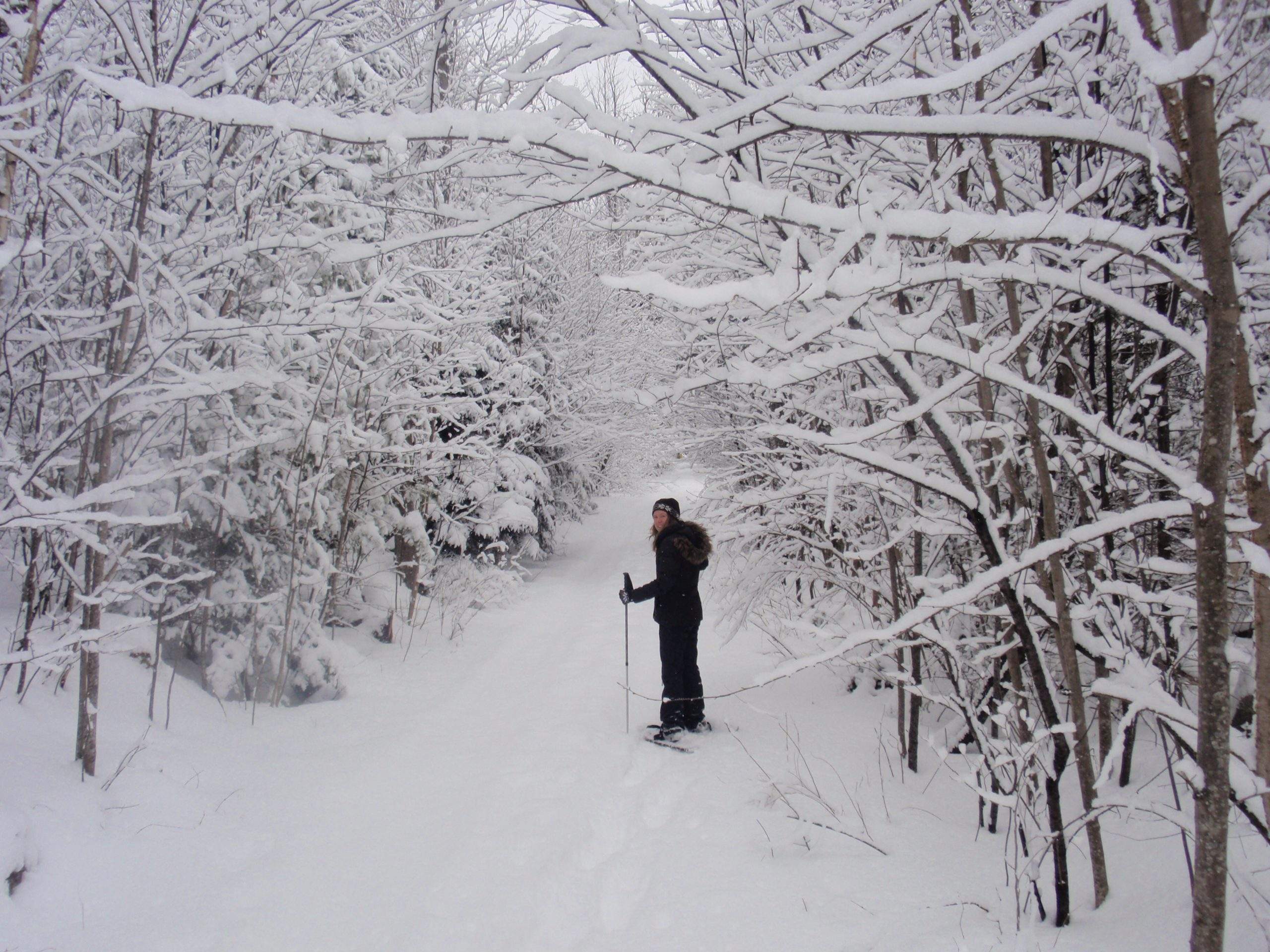 Snowshoeing in the White Mountains