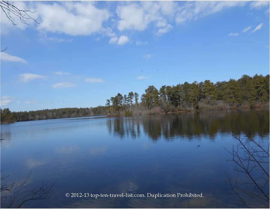Pond at Myles Standish State Forest