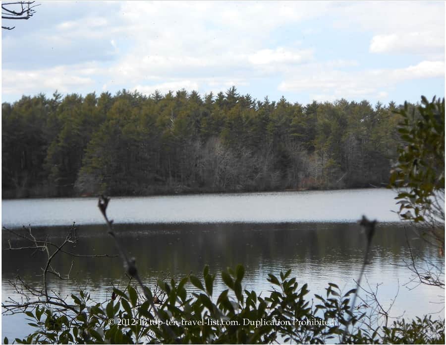 Serene reservoir views at Myles Standish State Forest