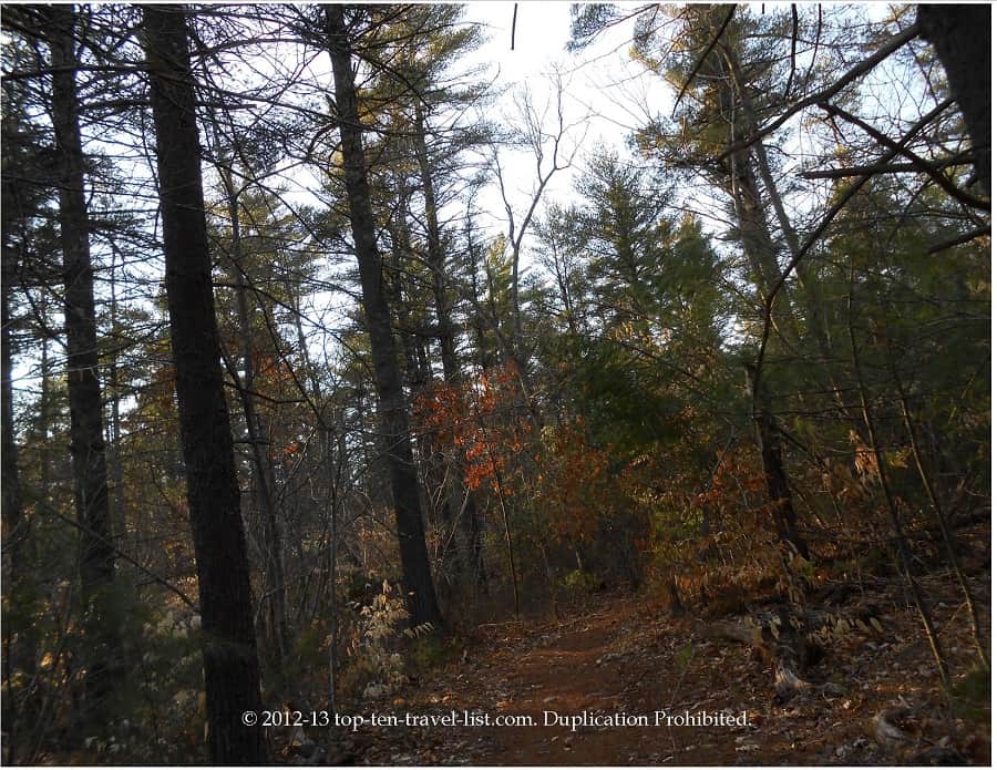 Copicut Woods Fall River - trail view
