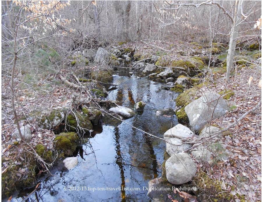 Copicut Woods Fall River - stream views