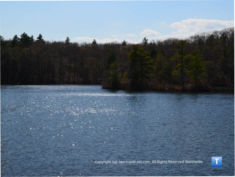 Pond at Breakheart Reservation