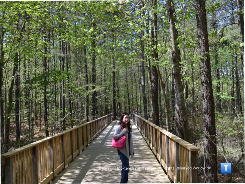 Nature trail at the Virginia Beach Aquarium