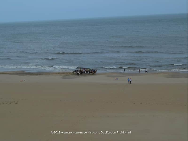 Horseback riding on Virginia Beach