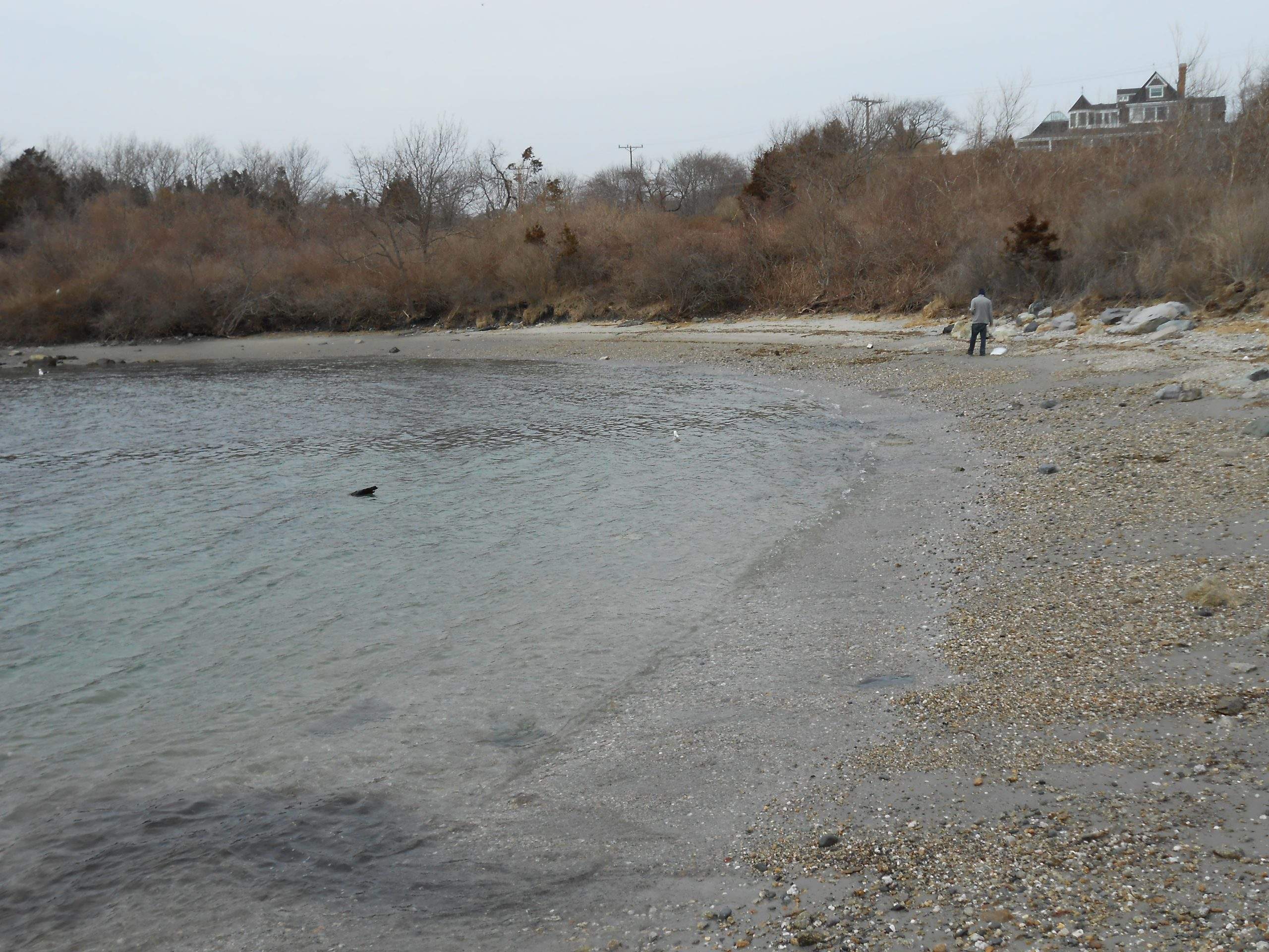 Jamestown Island beach