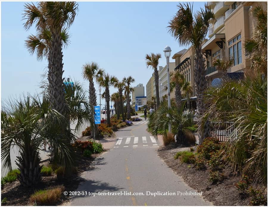 Palm trees on the Virginia Beach boardwalk