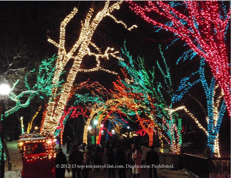 Lincoln Park Zoo Lights in Chicago