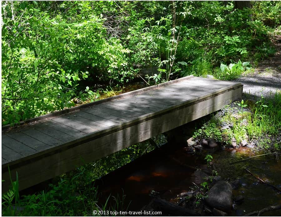 Woodsy trail views at Massasoit State Park 