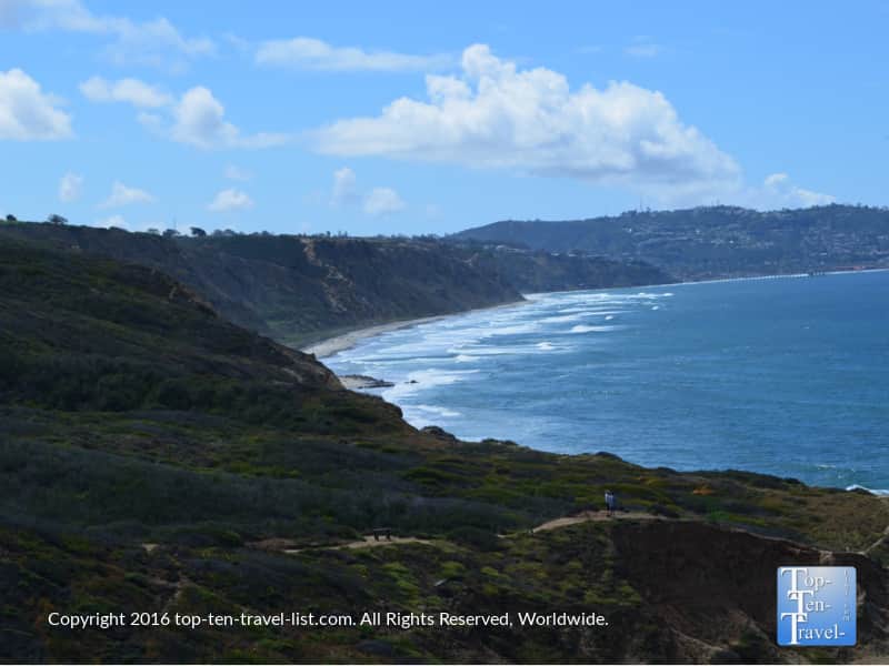 Torrey Pines nature preserve in San Diego
