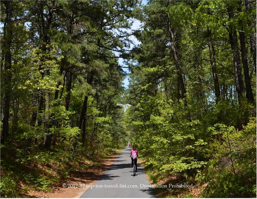 Biking along the Cape Cod Rail Trail