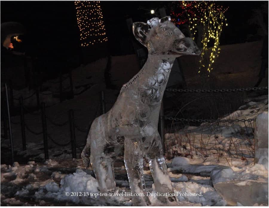 Giraffe ice sculpture at Lincoln Park Zoo