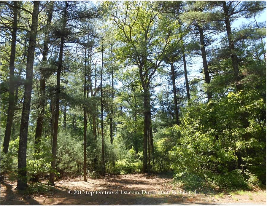 Massasoit State Park in East Taunton, Massachusetts 