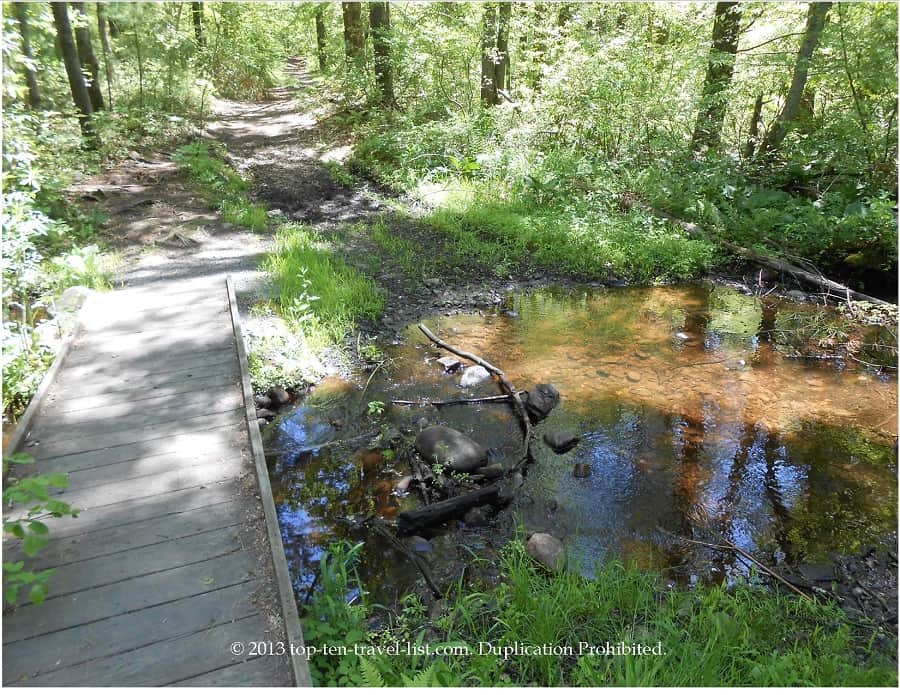 Pond at Massasoit State Park 