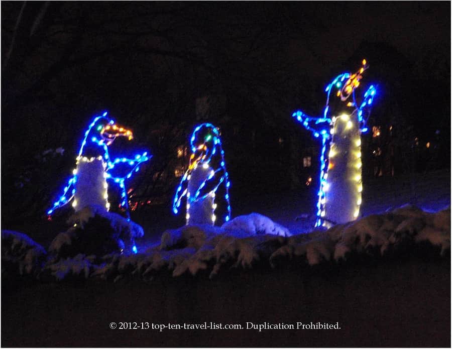 Penguin light display at Lincoln Park Zoo Lights