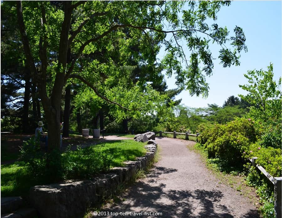 Pretty path at The Arnold Arboretum