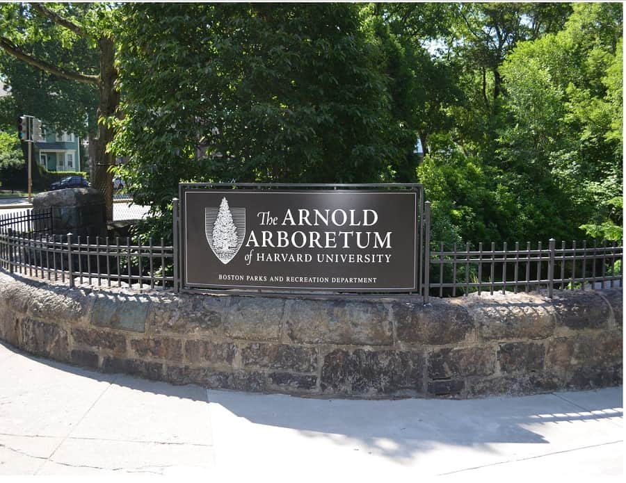 The Arnold Arboretum of Harvard University near Boston